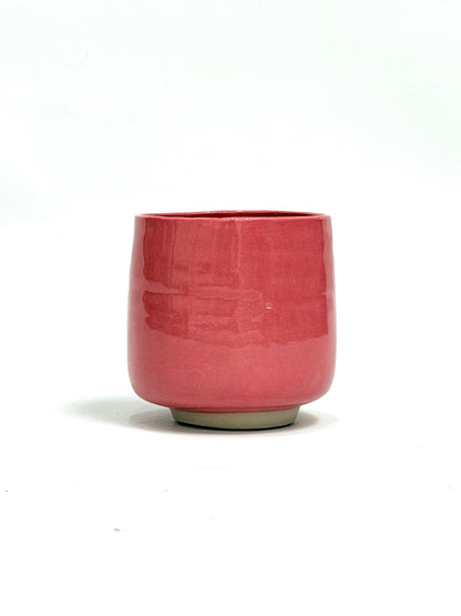 Rae Cup